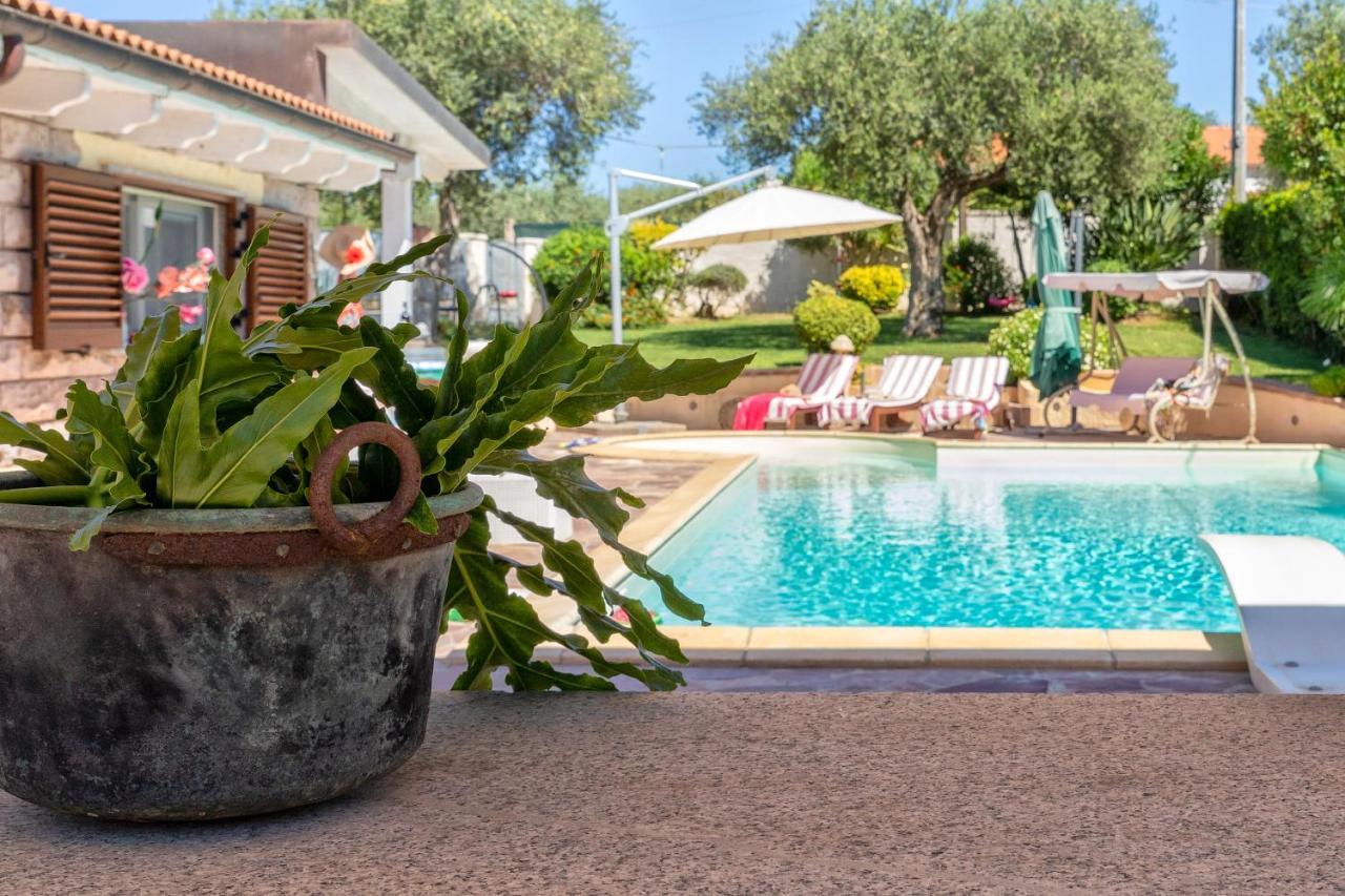 Villa Sunflower アルゲーロ エクステリア 写真